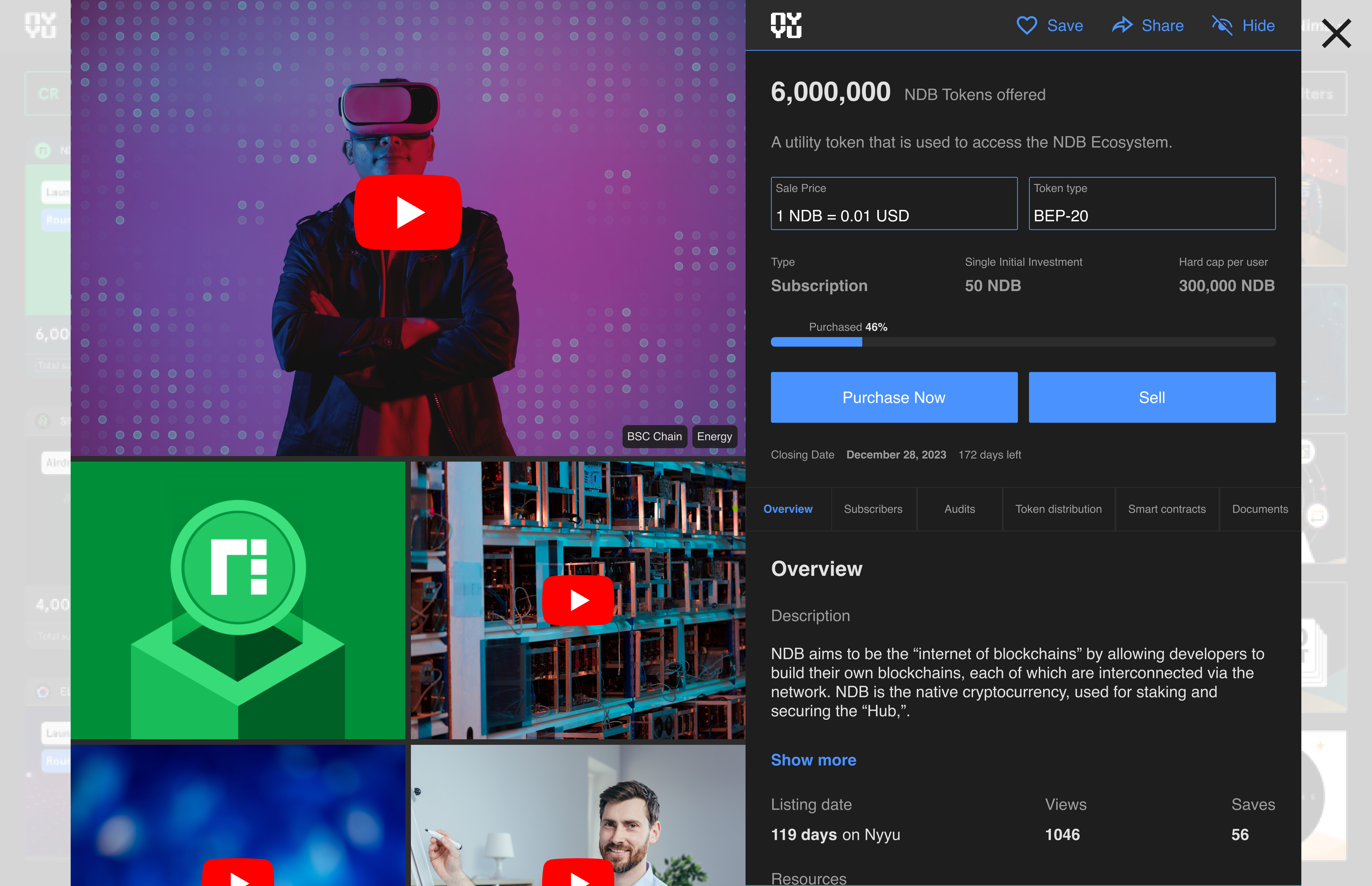 Crypto Presale Project Details Page