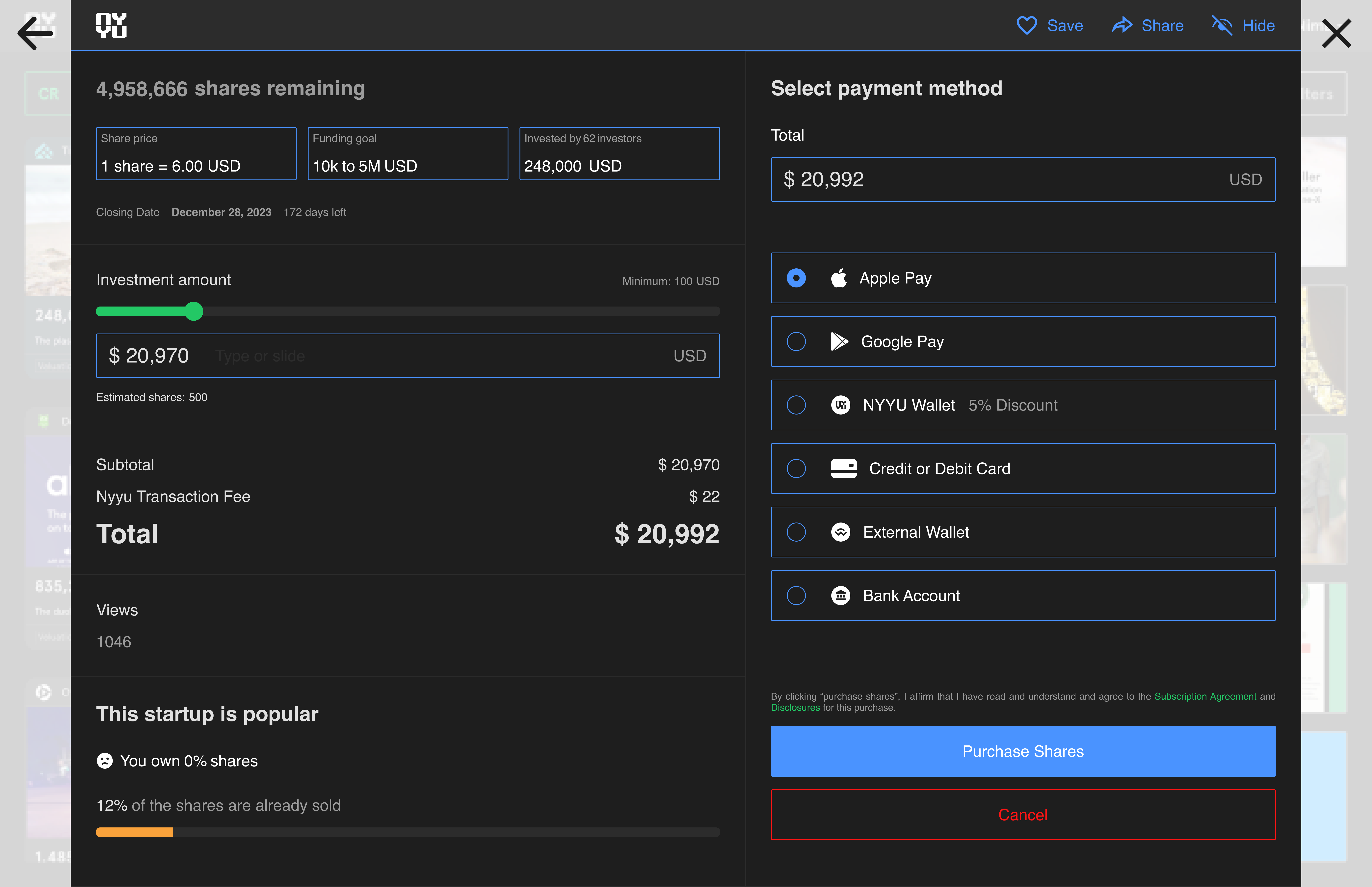 Startup Investment Payment Options